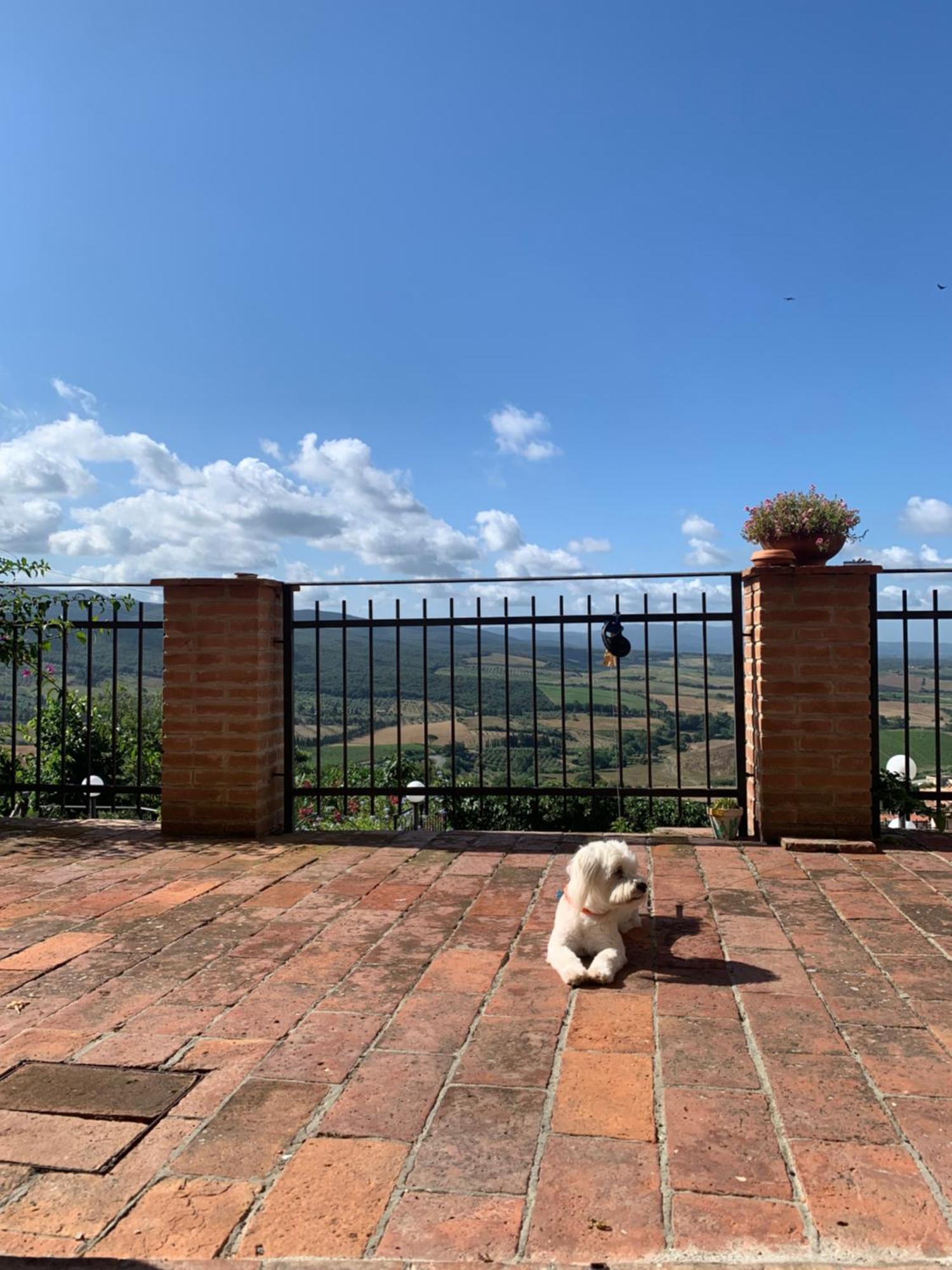 Casa Cerboneschi Bed & Breakfast Casale Marittimo Luaran gambar
