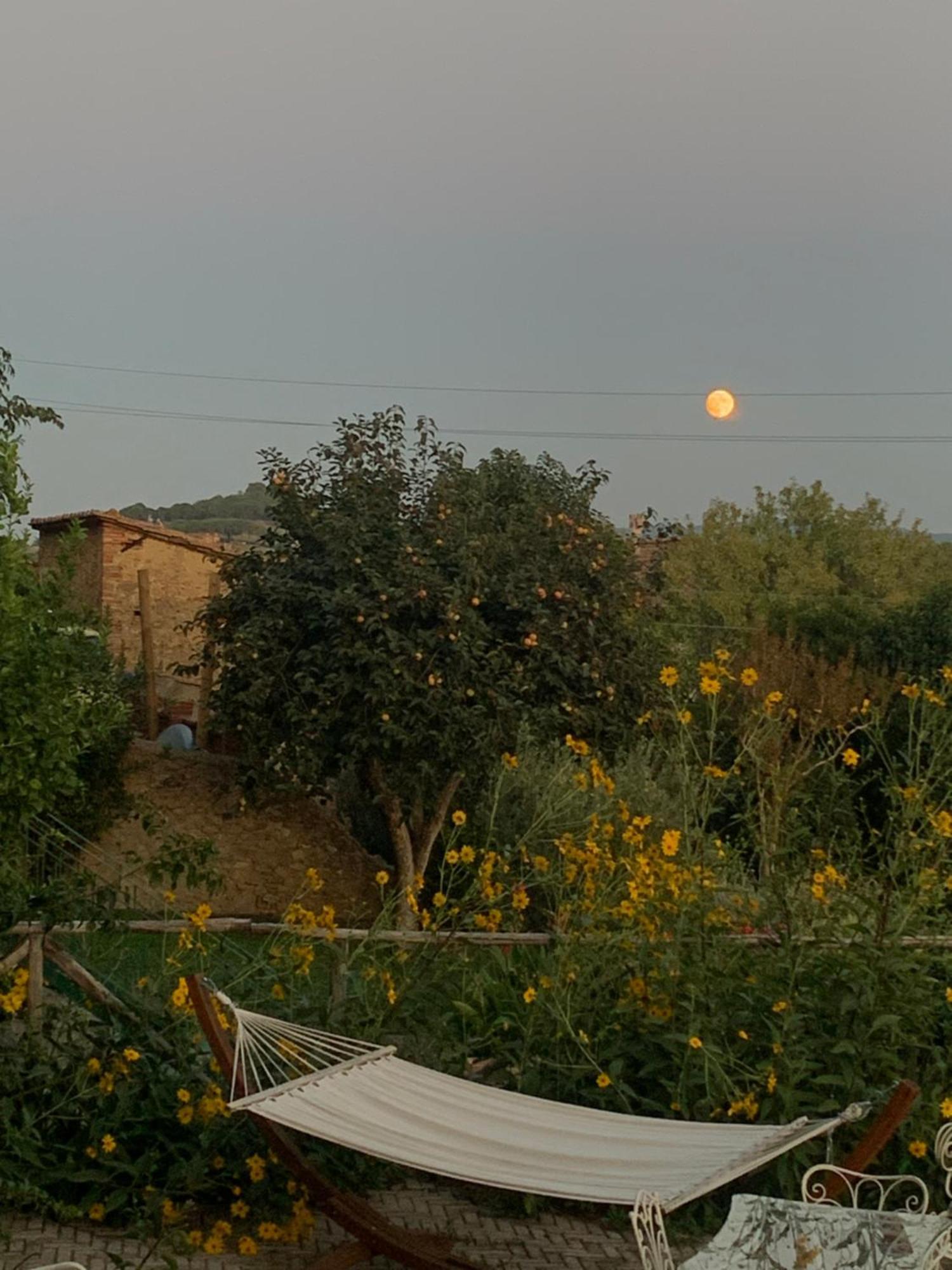 Casa Cerboneschi Bed & Breakfast Casale Marittimo Luaran gambar